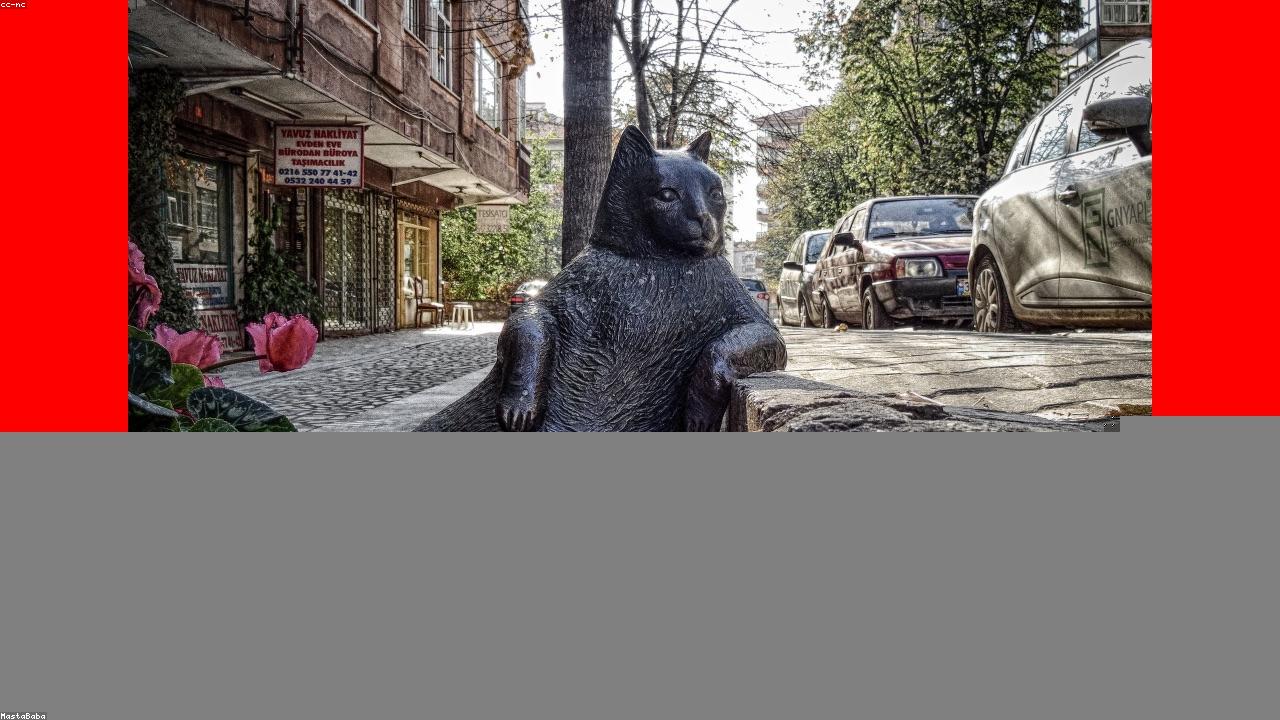 美媒关注：伊朗三场世界杯小组赛都安排在美国，还能踢上吗？（封面配图）